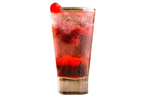 SODA DE FRUTOS ROJOS